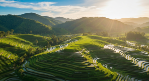 Heli Tour Bali: The Definitive Guide to Aerial Sightseeing